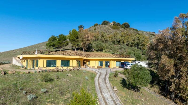 Genoni: discover the Giara Park - Why Choose This Tour in Genoni?