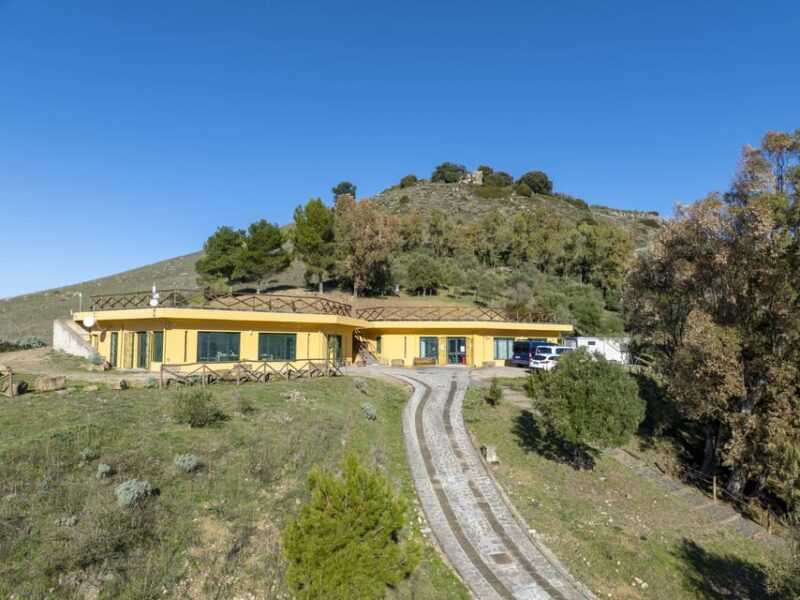 Genoni: PARC Museum Entry Ticket - Highlighting Sardinia’s Geological Insights