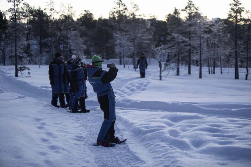 Gentle Snowshoeing & Reindeer Herd Visit w/ Lunch - The Experience Provider and Similar Tours