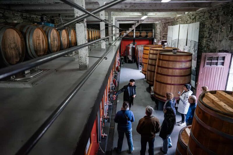 Genuine Douro Valley Tour: 2 Wineries, Lunch & River Cruise - Scenic River Cruise on the Douro River