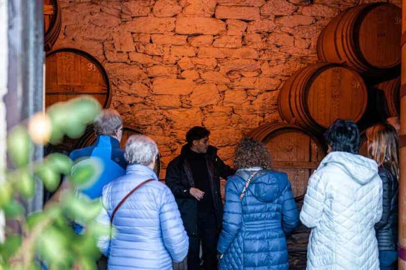 Genuine Douro Valley Tour: 2 Wineries, Lunch & River Cruise - Return to Porto and Reflection