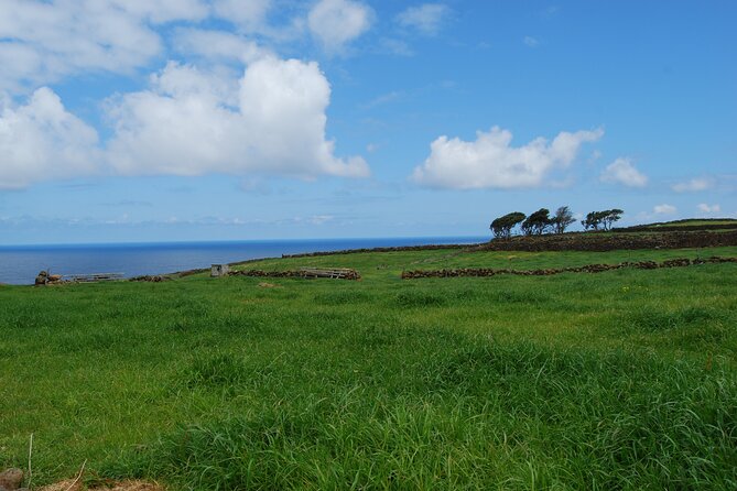 Geology private full day tour - Flexibility and Customization of the Tour