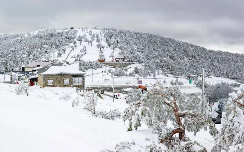 Georgia: 5-Day Tour with Tbilisi, Kakheti, and Borjomi - Borjomi and Bakuriani: Mountain Adventures and Family Fun