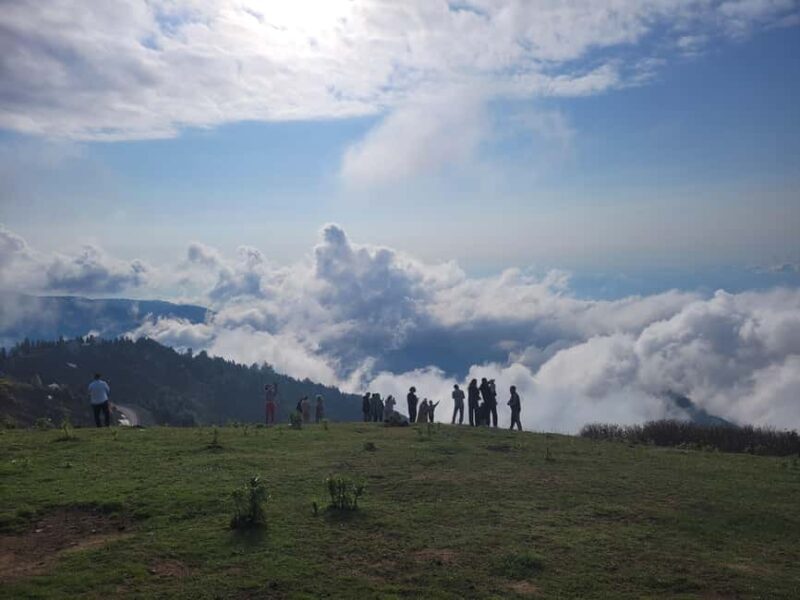 Georgia (Batumi): Private Customizable Tour with Guide - Who Will Appreciate This Tour the Most?