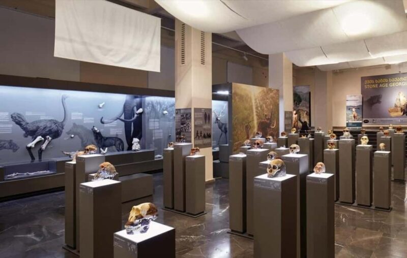 Georgian National Museum Entry Ticket - Discover the Simon Janashia Museum of Georgia’s Main Exhibitions