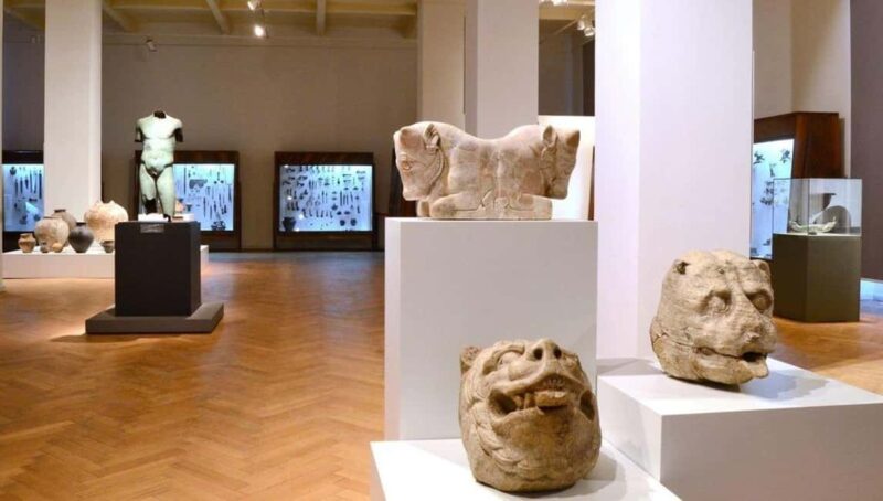 Georgian National Museum Entry Ticket - Biodiversity and Natural History of the Caucasus