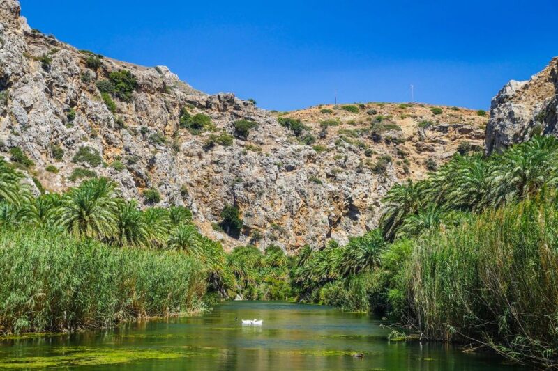 Georgioupolis: Preveli Palm Beach Day Trip by Bus and Boat - Excursion by Water Taxi to the Hidden Treasure of Preveli