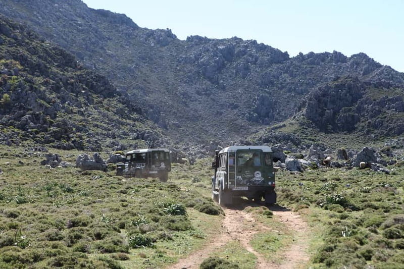 Georgioupolis Safari Discover The Cretan Culture - Discover How Cretan Cheeses Are Made with a Shepherd