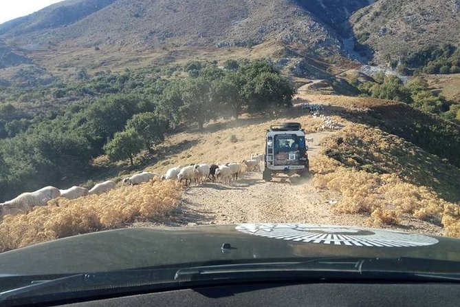 Georgioupolis Safari Off Road Tours Outdoor Activities Land Rover Defender - Olive Oil and Wine: Tasting Crete’s Local Products