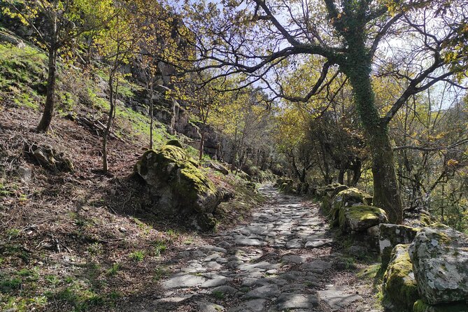 Gerês National Park with activities - Private half day/from Porto - Waterfalls and Lagoons: Highlights of the Park