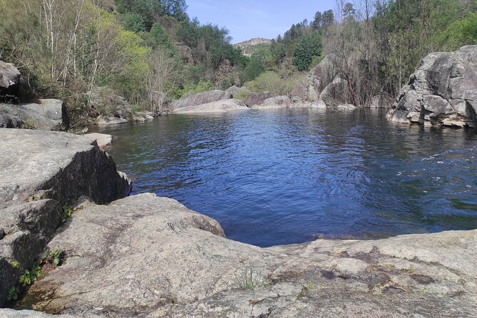 Gerês National Park with activities - Private half day/from Porto - Transport and Comfort: The Logistics of the Tour