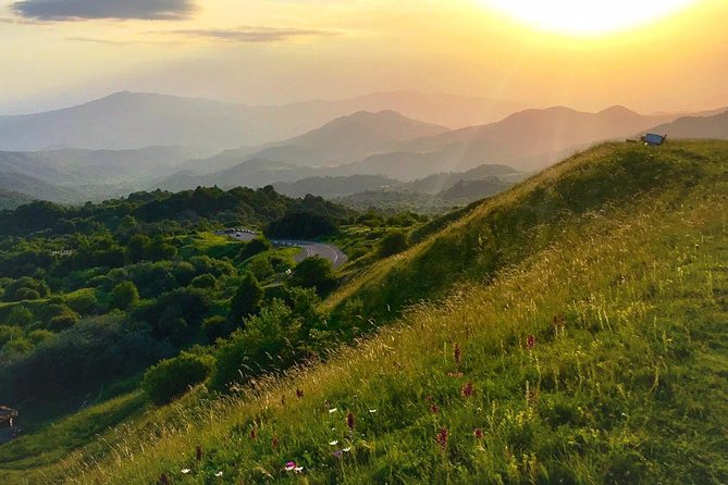German village in Georgia (Elisabethal) & Wine tasting - Pacing and Duration of the Tour