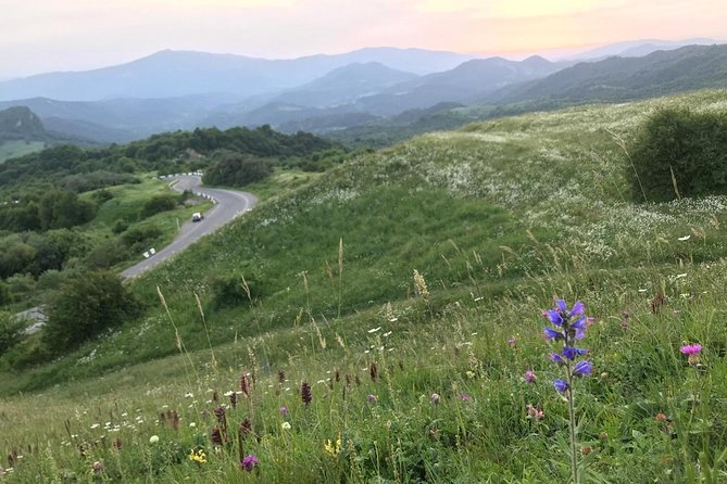 German village in Georgia (Elisabethal) & Wine tasting - Accessibility and Suitability