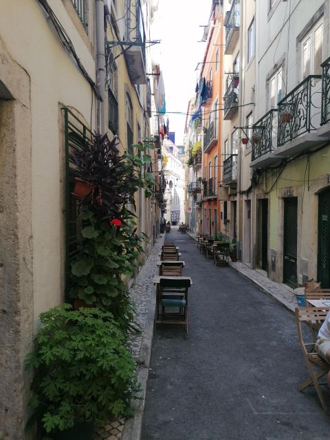 Get a TukTuk tour with a local guide! - Viewpoints and Landmarks with a Breathtaking Perspective