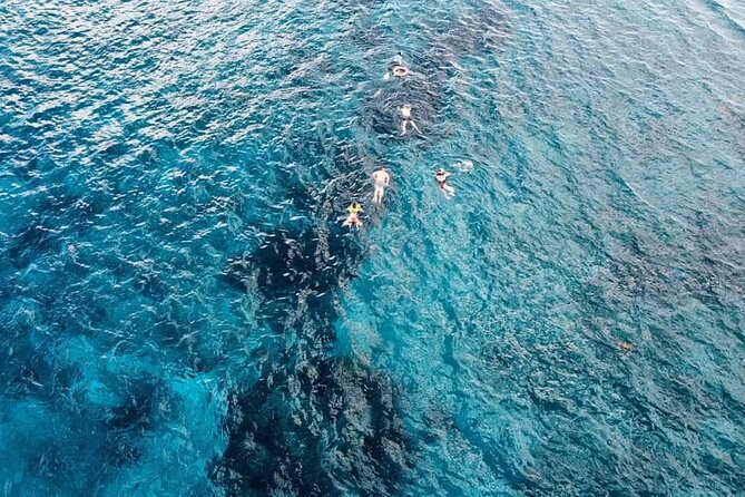 Get to know heaven on earth with Chivis del mar private - Visiting Palancar Reef: A Tropical Underwater Paradise