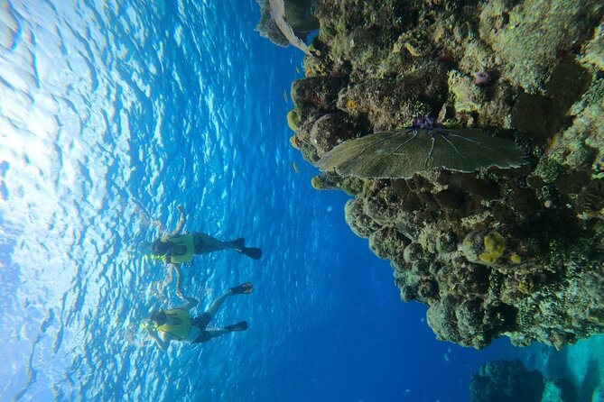 Get to know heaven on earth with Chivis del mar private - El Cielito Beach: The Iconic Sandbank with Ceviche and Fruits