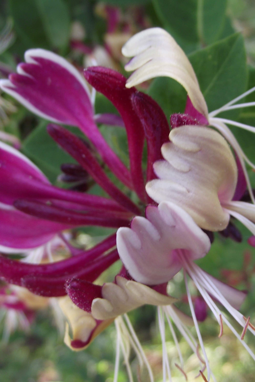 Get to know South Moravia with us. 6 hour tour. - The Distinctive Choice Between South and North Routes