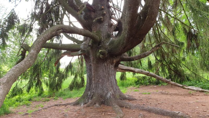 Get to know South Moravia with us. 6 hour tour. - Frequently Asked Questions