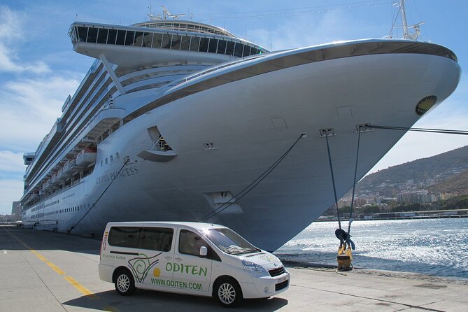 Get to know the Teide National Park and the north of Tenerife on a private tour - Timing and Pacing of the Tour