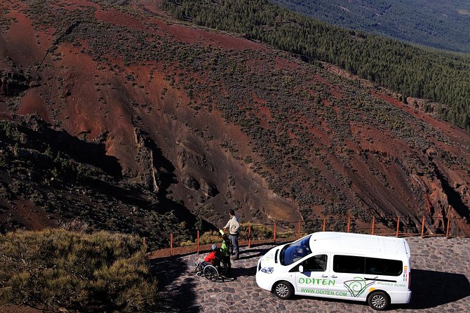 Get to know the Teide National Park and the north of Tenerife on a private tour - Accessibility and Booking Considerations