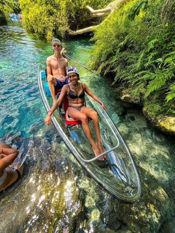 Get Up And Go Kayaking Clear Kayak Eco Adventure - Wildlife Encounters and Bird Watching Opportunities