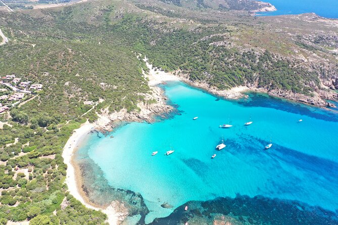 Get your Boat Tour with PRISCILLA to the best Cagliari Coves". - Final Thoughts on the Cagliari Cove Boat Tour