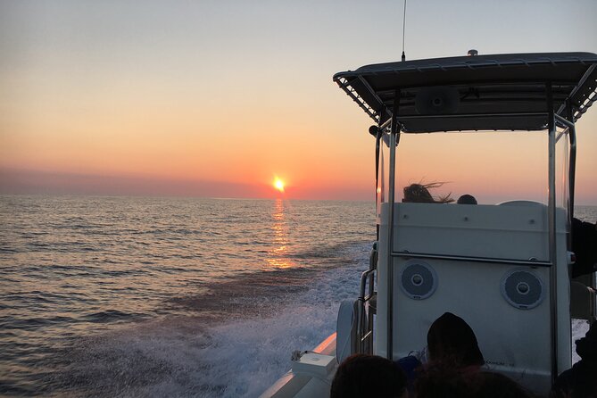 Getaway to the Calanques of Piana de Cargèse in a small group - The Bay of Sea Calves and the Swimming Pool