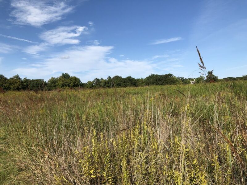 Gettysburg: Beer, Wine, and History Guided Walking Tour - Behind-the-Scenes and Local Tales at Each Stop
