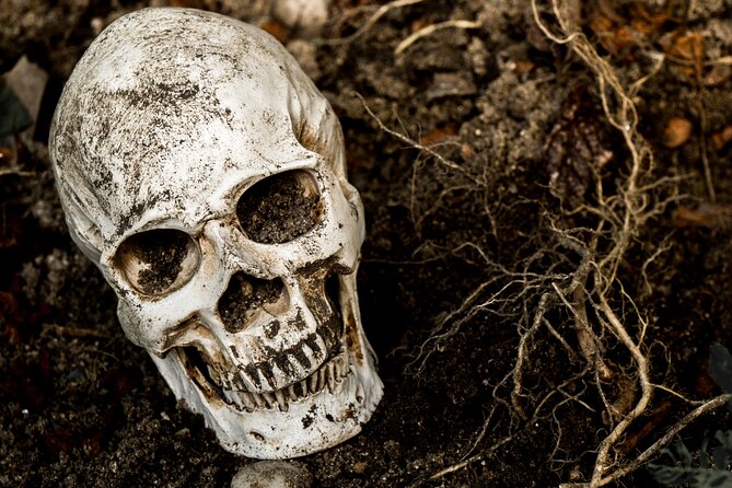 Gettysburg: Ghost Hunt Tour with Ghost Hunting Equipment - Guide Personalities and Knowledge