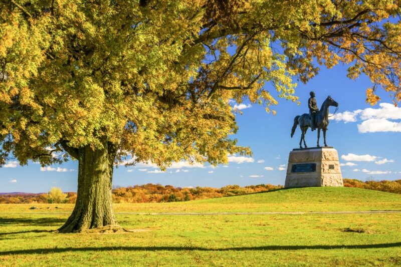 Gettysburg: Licensed Guided Battlefield Horseback Tour - The Horses: Calm, Friendly, and Well Cared For