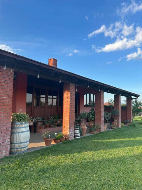 Gevgelija: Jostela Winery Wine Tasting Tour - Exploring Jostela’s Wine Portfolio