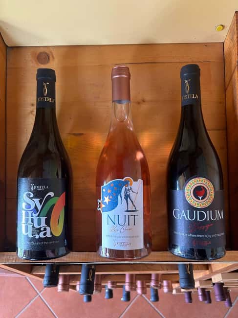 Gevgelija: Jostela Winery Wine Tasting Tour - Who Will Appreciate This Tour Most?