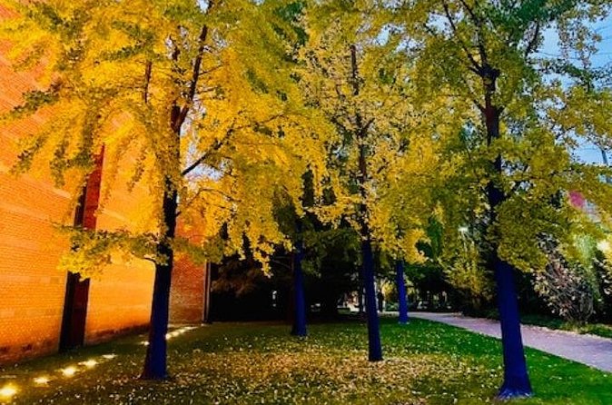 Ghostly Tales of Salem Walking Tour - The Historic Significance of Salem Old Town Hall