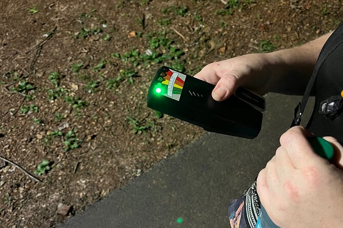 Ghosts of Blue Ridge: Shadows on the Ridge - Group Size and Tour Accessibility