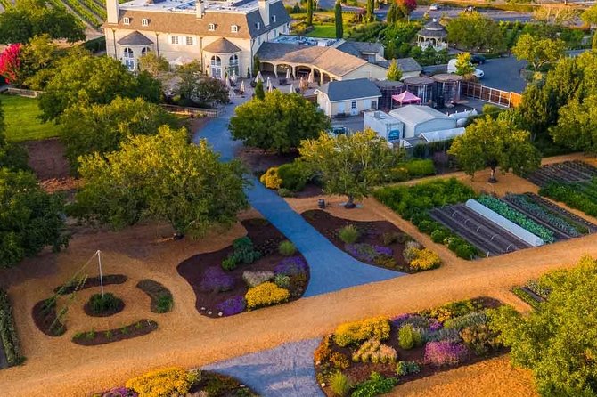 Giant Redwoods Tour Including a 5-Course Winery Lunch - Visit Armstrong Redwoods State Natural Reserve Without the Crowds