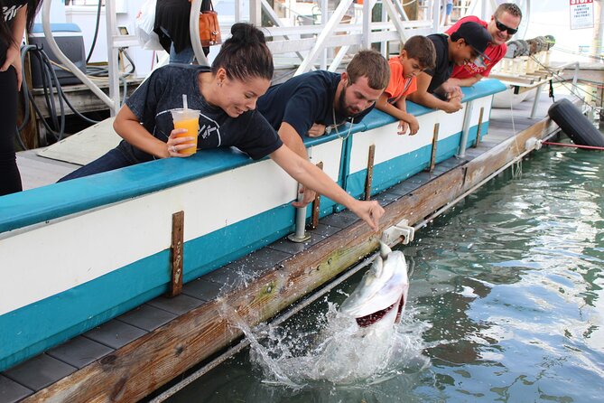 Giant Tarpon Fish Feeding Experience in Bayside Marketplace - Exciting Tarpon Feeding Close to Downtown Miami