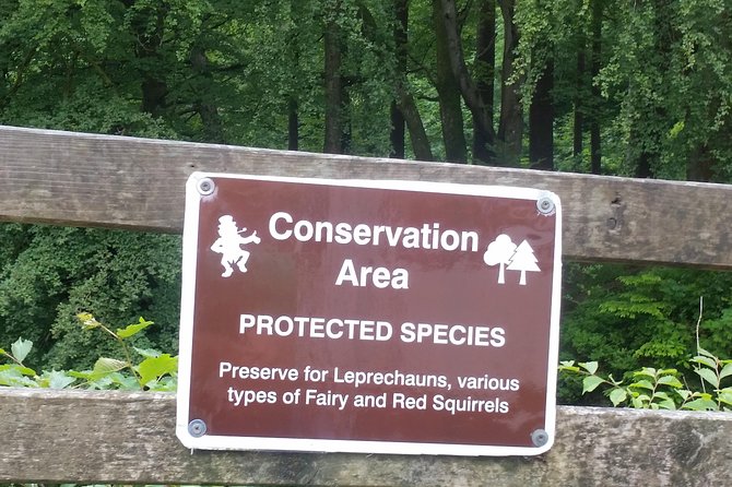 Giants causeway and Glens of Antrim day trip - Logistics and Practical Tips for the Tour