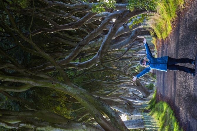 Giants Causeway & Antrim Coast Private Tour - Key Points