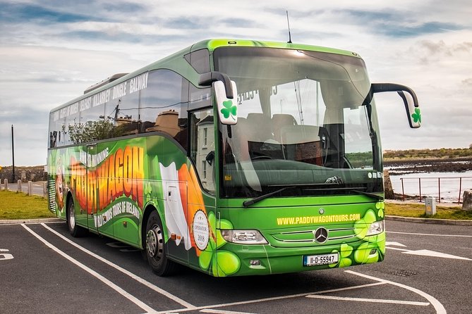 Giant's Causeway Day Tour from Dublin - Exploring Dunluce Castle Overlooking the Cliffs