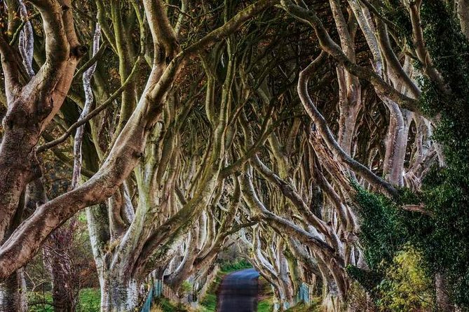 Giant's Causeway Full Day Tour from Belfast - The Giants Causeway: Legends and Hexagonal Columns