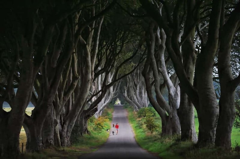 Giants causeway Irish castles & whiskey, Game of thrones - Practical Details and Booking Flexibility