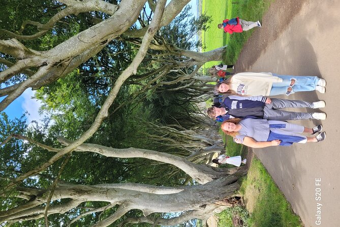 Giants causeway private tour 1 to 7 people - Bushmills and Ireland’s Oldest Whiskey Distillery