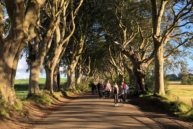 Giants Causeway, Rope Bridge, Carrickfergus Castle and Dark Hedges Tour - Viewing the Carrick-a-Rede Rope Bridge from a Distance