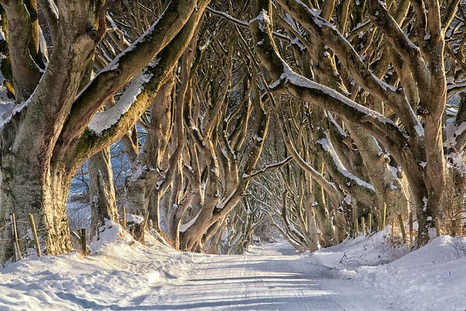 Giant's Causeway with the Titanic Exhibition and the best of Northern Ireland - Visiting the Natural Marvel of Giants Causeway