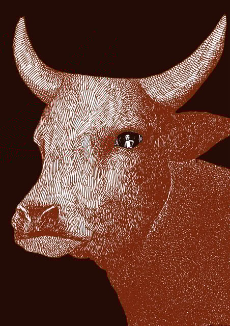 Giara Horse Museum Entry Ticket - Engaging Microhistories Through Video and Objects