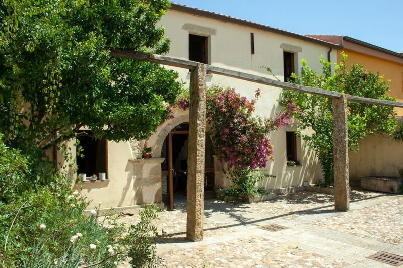 Giara Horse Museum Entry Ticket - Kid-Friendly Activities at the Laboratory Section