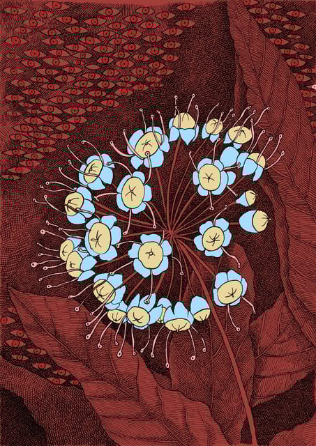 Giara Horse Museum Entry Ticket - Practical Details: Duration, Accessibility, and Booking