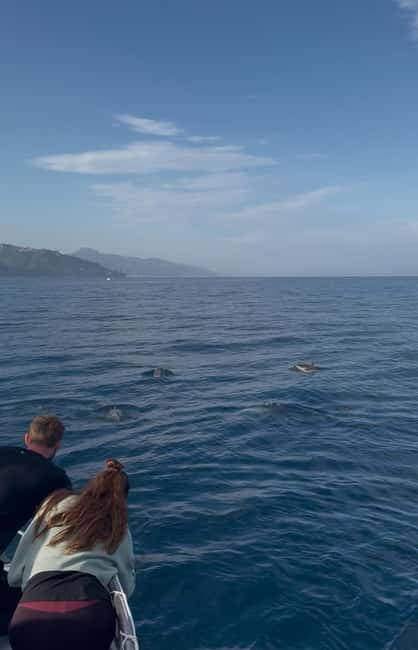 Giardini Naxos: Dolphin Searching Sunset Boat Tour - Practicalities and Booking Details