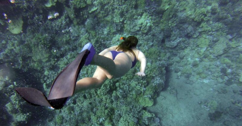 Giardini Naxos: Isola Bella Marine Park Snorkeling Cruise - Explore Sicily’s Marine Beauty with the Isola Bella Snorkeling Cruise