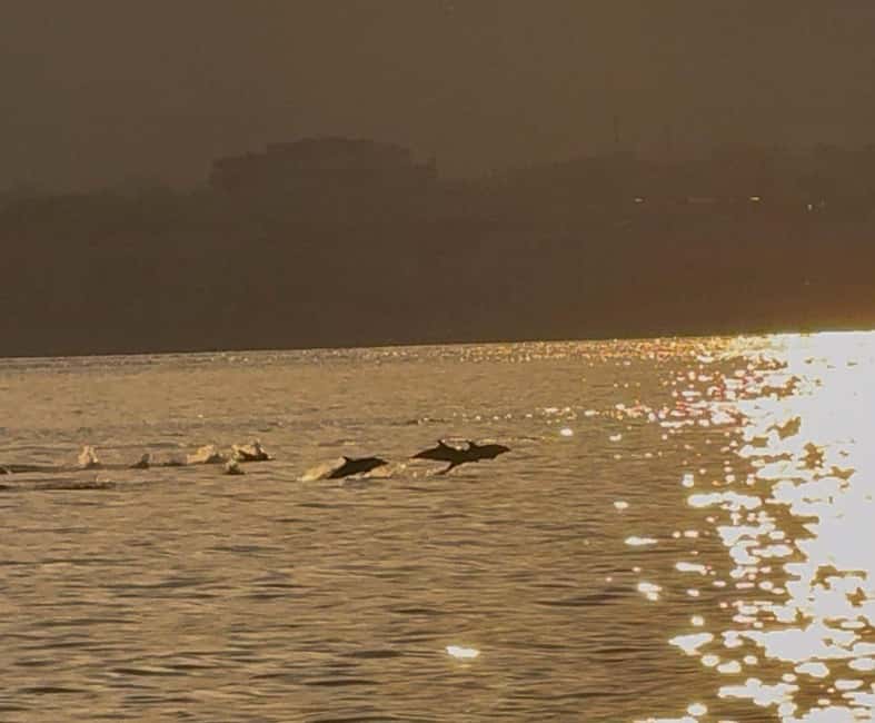 Giardini-Naxos: Sunset Boat Tour with Aperitif and Dolphins - Respectful and Eco-Friendly Dolphin Watching